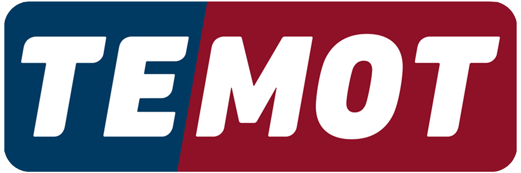 TEMOT LOGO